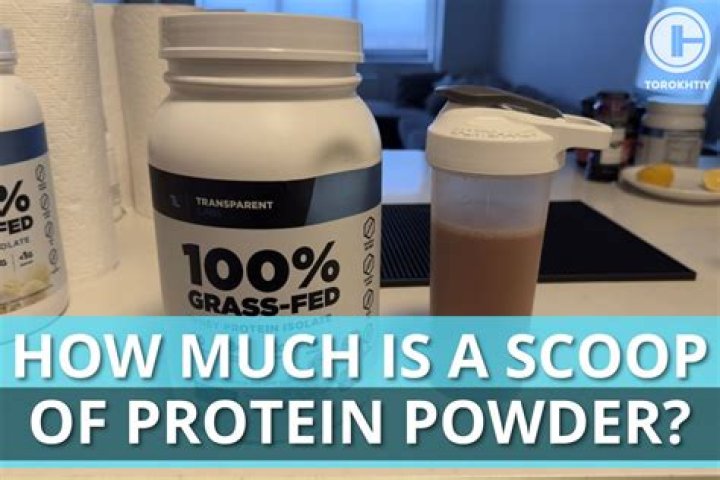 How much is a scoop of protein powder?