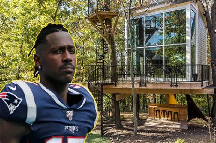 How much is Antonio Brown treehouse?