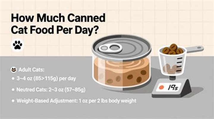 How much is food per day in NYC?