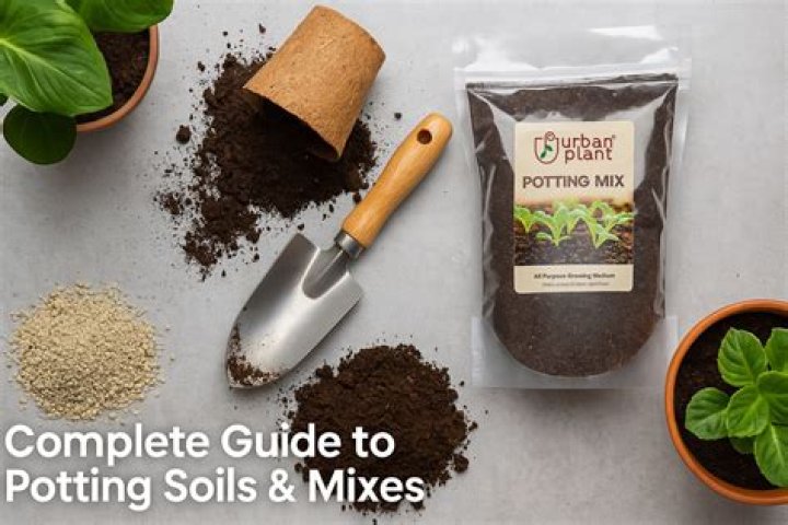 How much manure do I mix with potting soil?