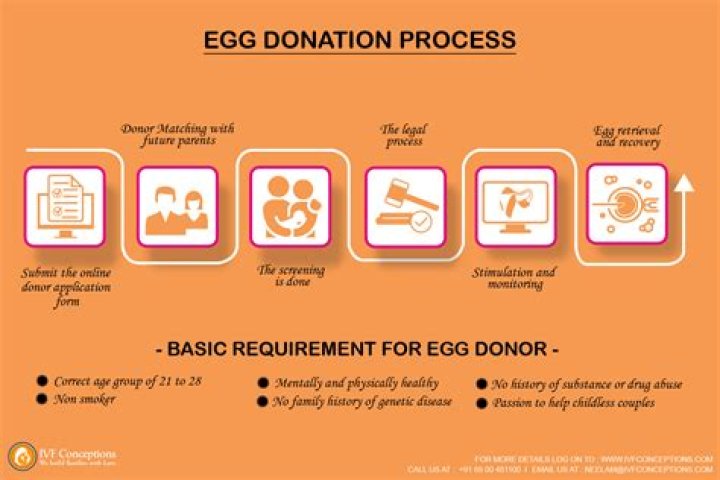 How much money do you get for donating eggs?