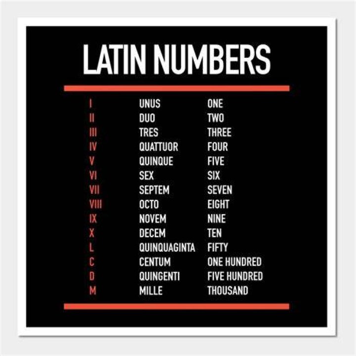 How much of Latin is from Greek?