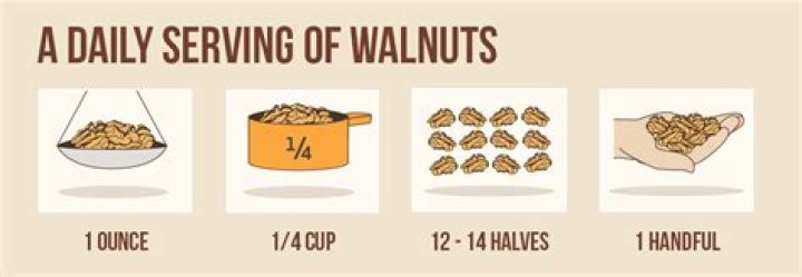 How much walnuts should I eat a day?