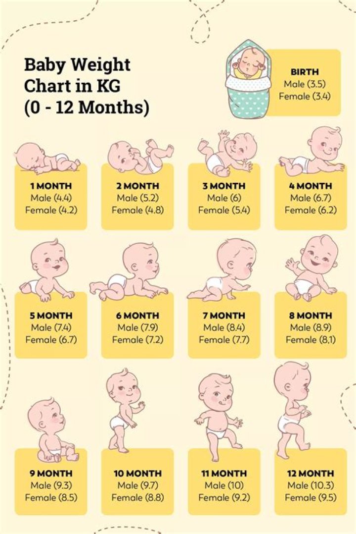 How much weight can u lose in 3 months?