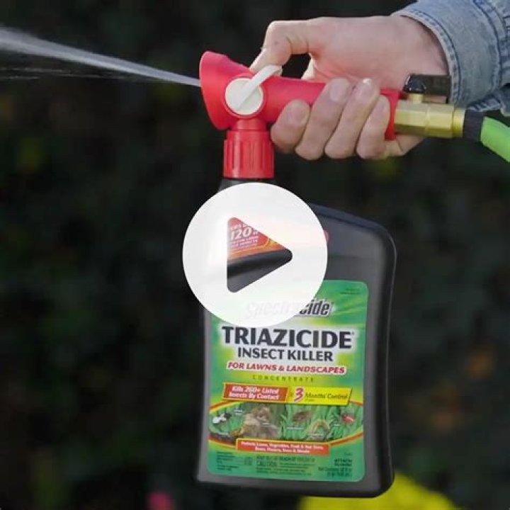 How often can you apply Triazicide?