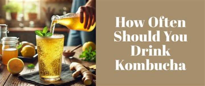 How often should you drink kombucha?