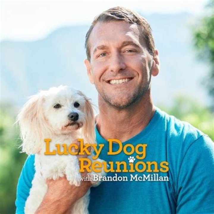 How old is Brandon McMillan lucky dog?
