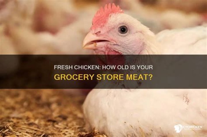 How old is chicken in the grocery store?