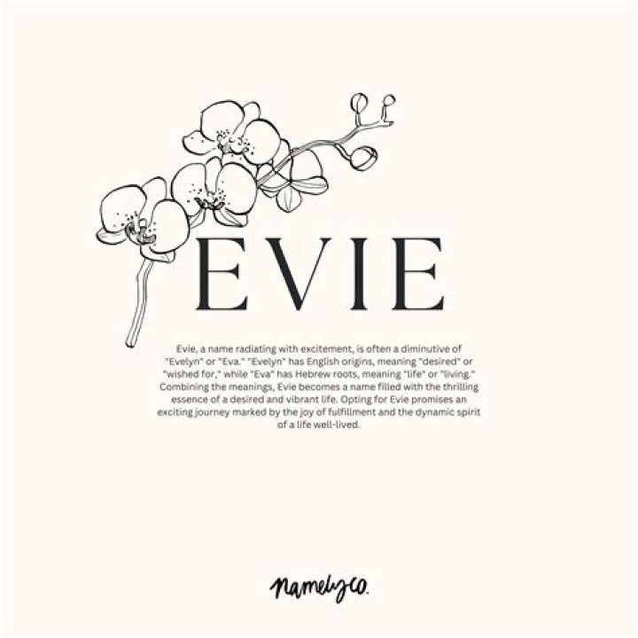 How rare is the name Evie?