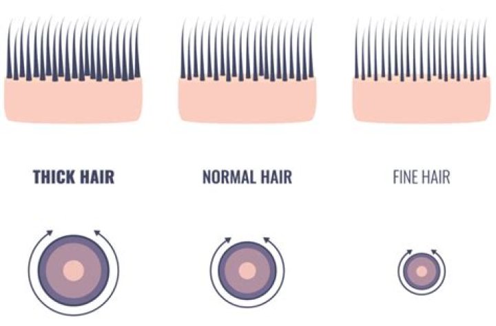 How thick is a human hair?