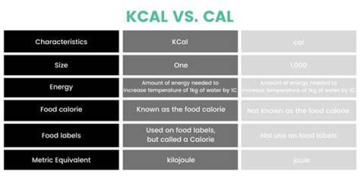 Is a kcal the same as a calorie?