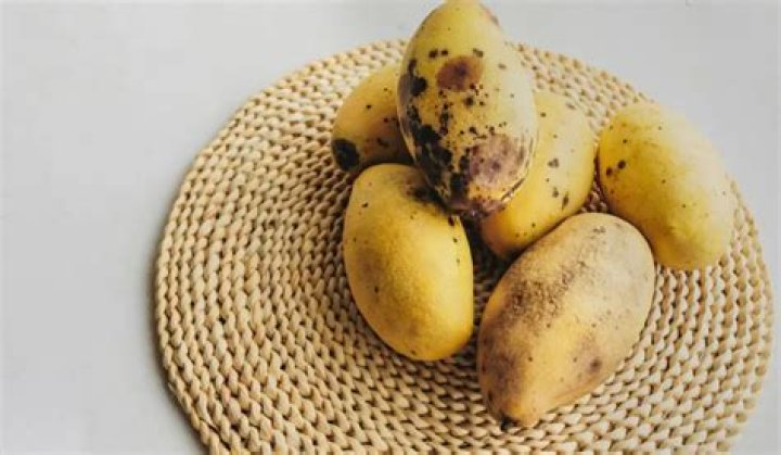 Is a wrinkly mango bad?