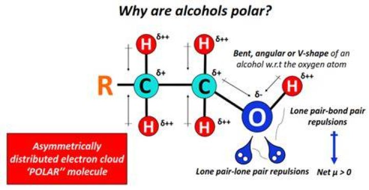 Is alcohol polar nonpolar or ionic?