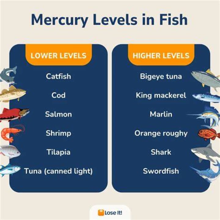 Is barramundi high in mercury?