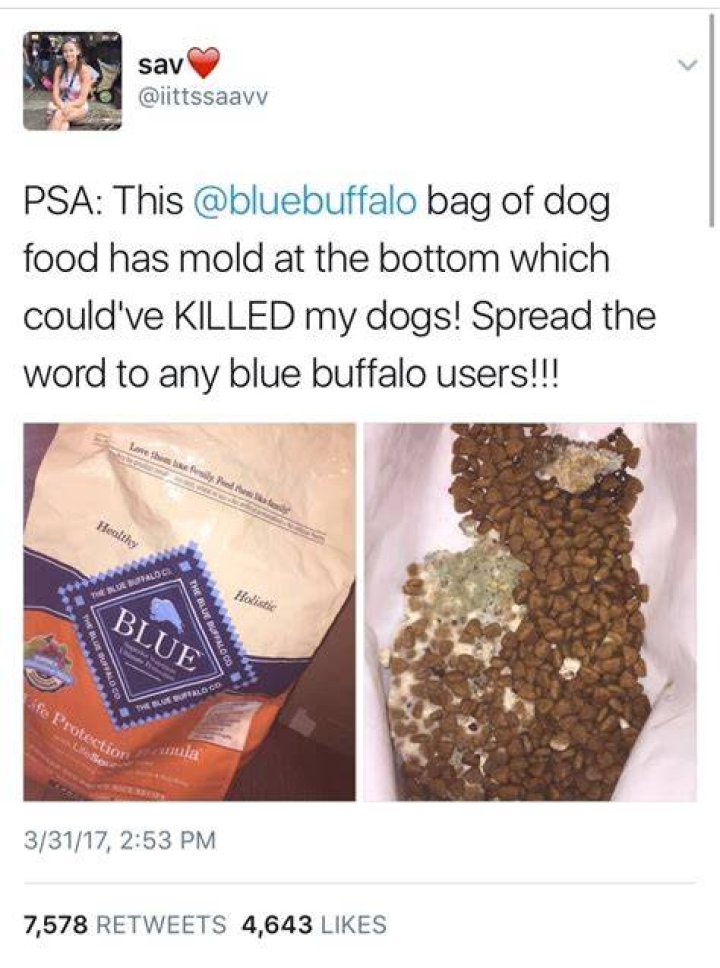 Is Blue Buffalo killing dogs?