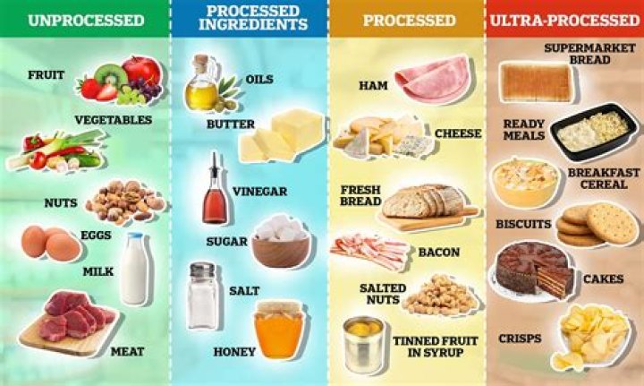 Is Bologna a processed food?