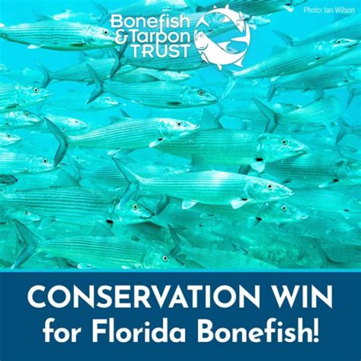Is Bonefish expensive?
