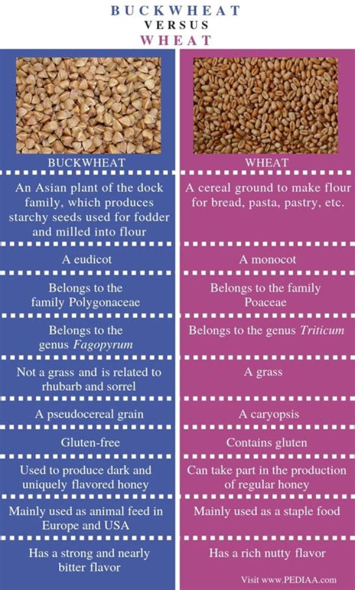 Is buckwheat the same as whole wheat?