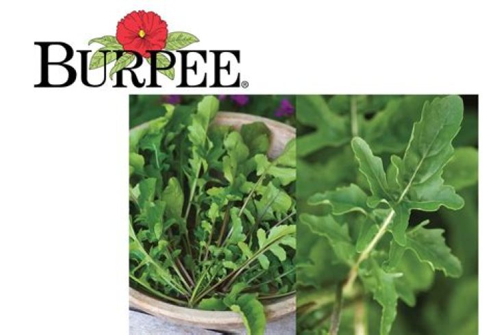 Is Burpee owned by Monsanto?