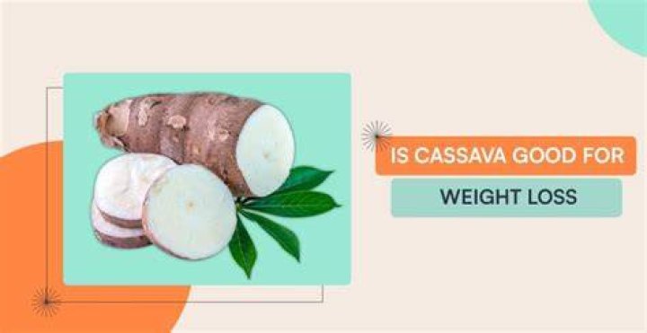 Is Cassava good for weight loss?