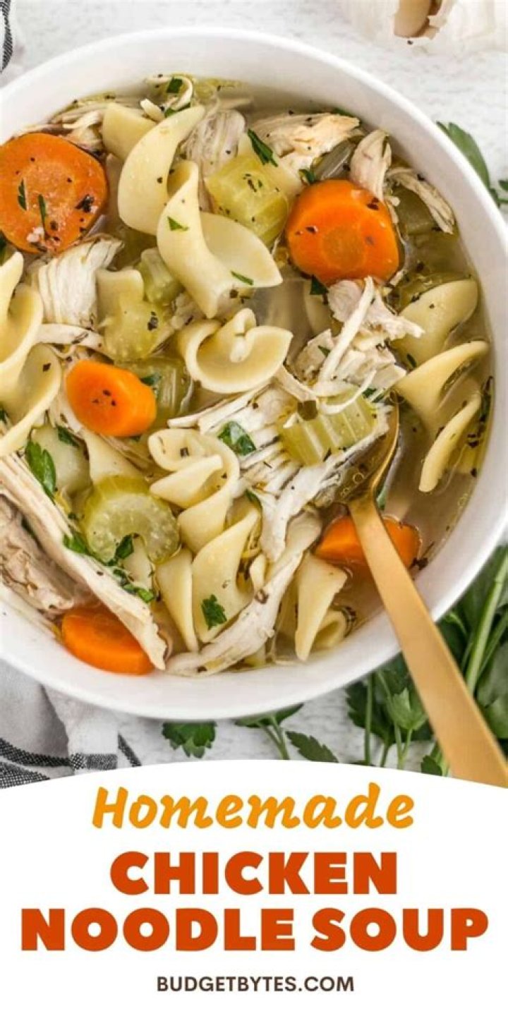 Is chicken noodle soup good for you when you’re sick?