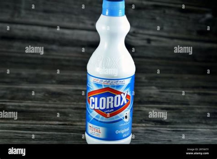 Is Clorox an American company?