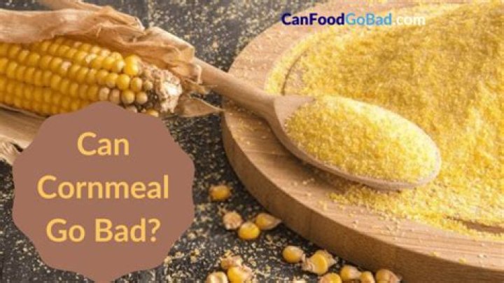 Is cornmeal good or bad for you?