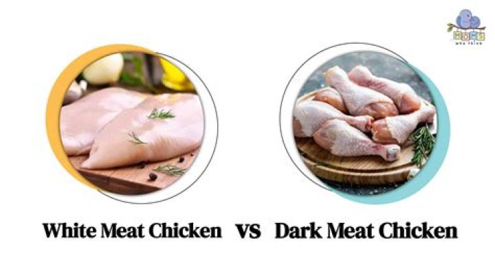 Is dark meat chicken bad for you?