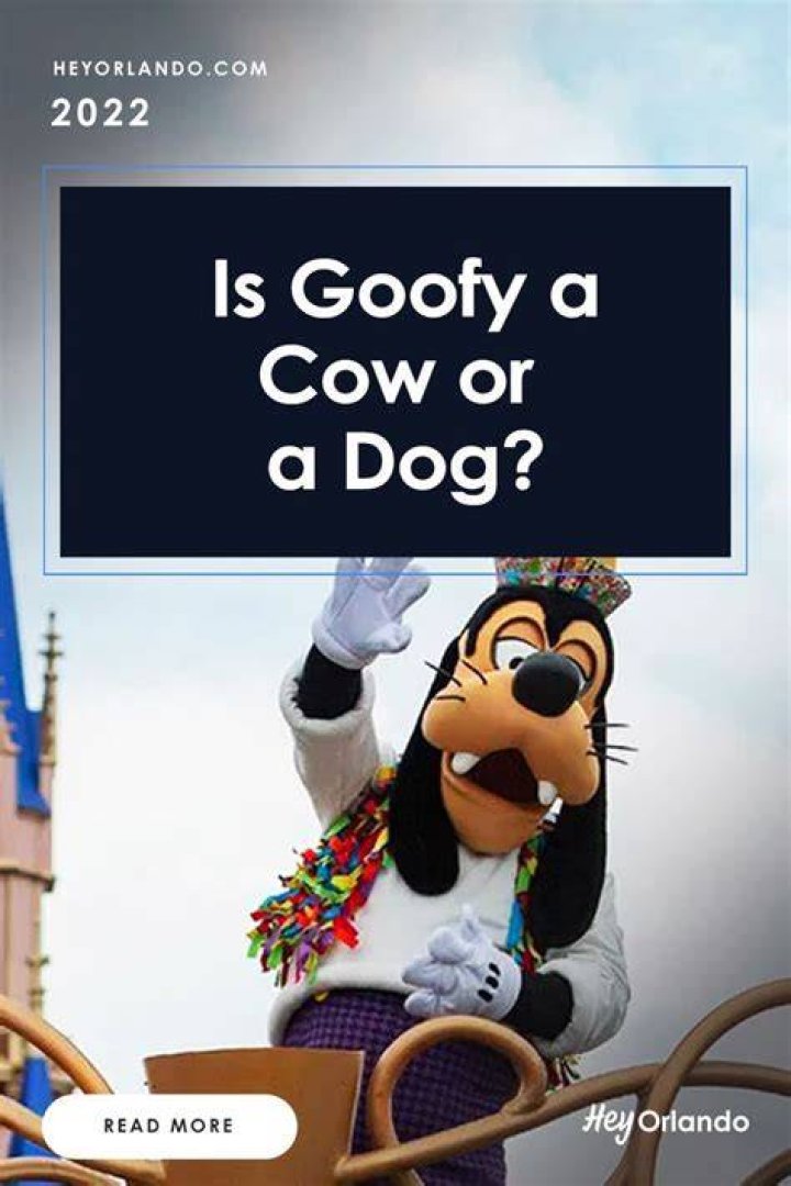 Is Disney’s Goofy a cow or a dog?