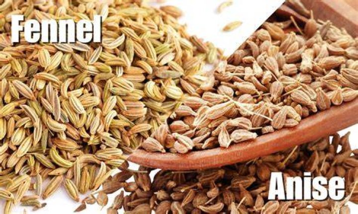 Is fennel the same as anise?