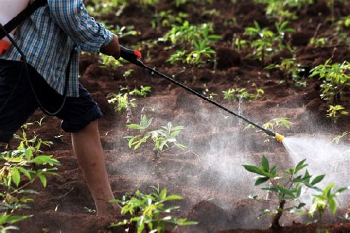 Is fertilizer toxic to humans?