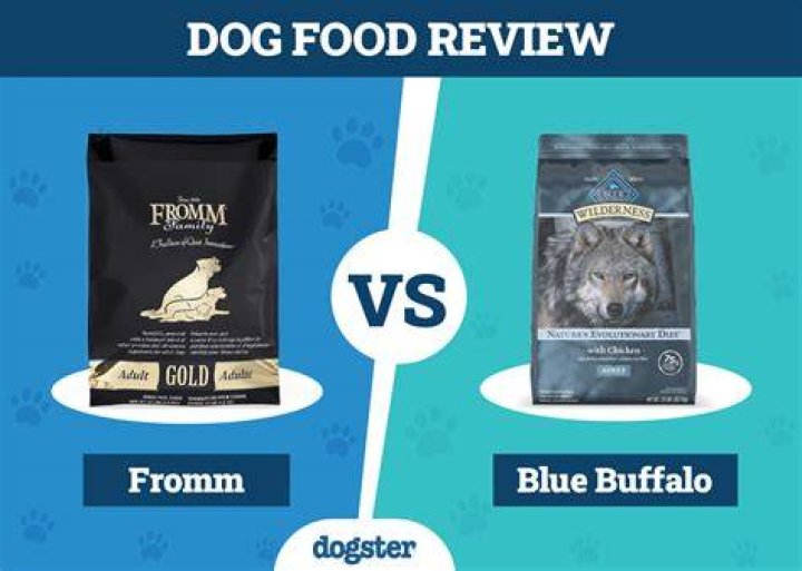 Is Fromm dog food bad?
