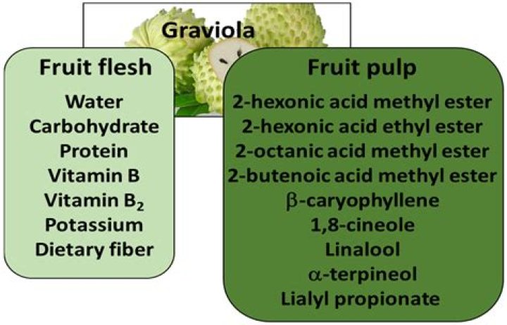Is Graviola good for cancer?