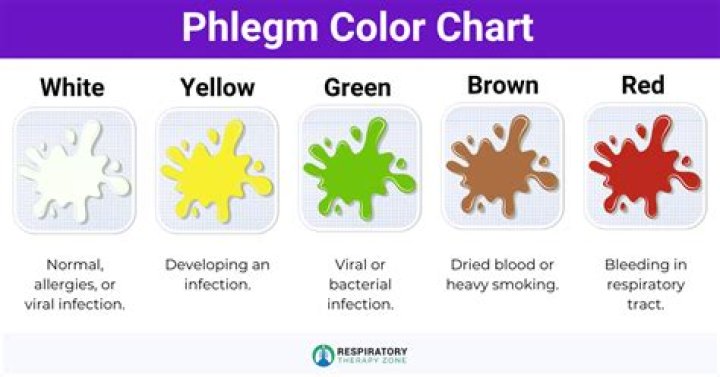 Is green phlegm bacterial or viral?