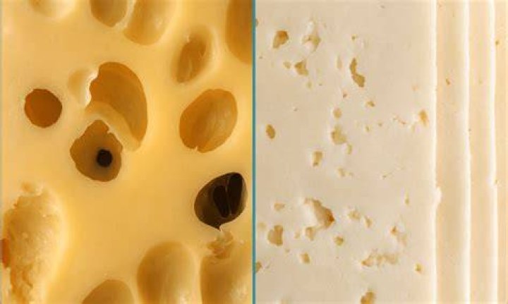 Is Gruyere similar to Havarti?