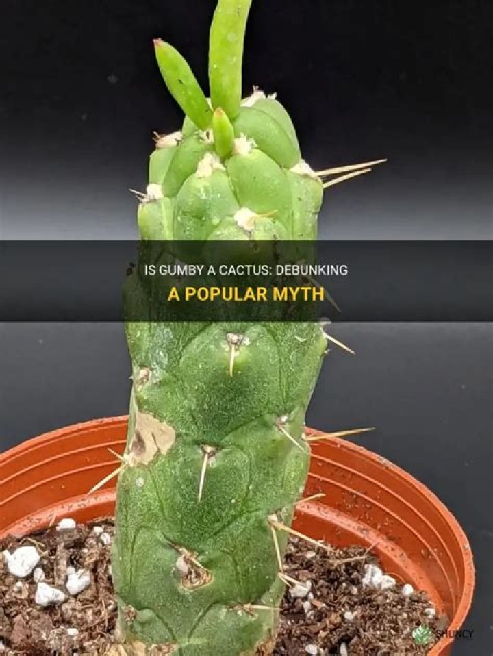 Is Gumby a cactus?