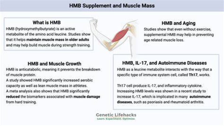 Is HMB a BCAA?