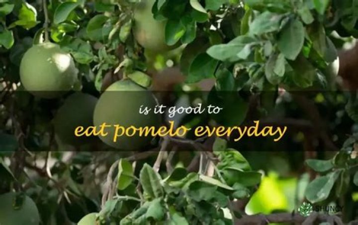 Is it good to eat pomelo everyday?