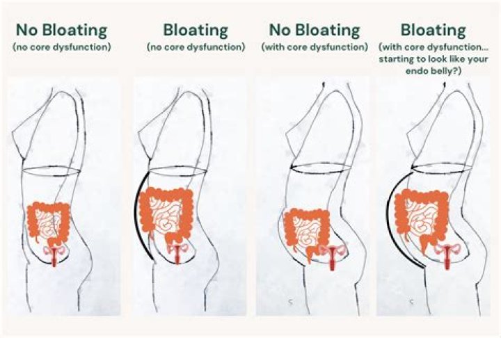 Is it normal to be bloated while bulking?