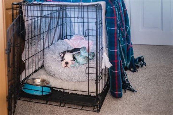 Is it OK to cover a dog crate with a blanket?