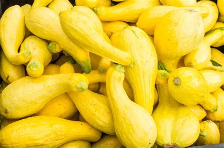 Is it OK to eat bumpy yellow squash?