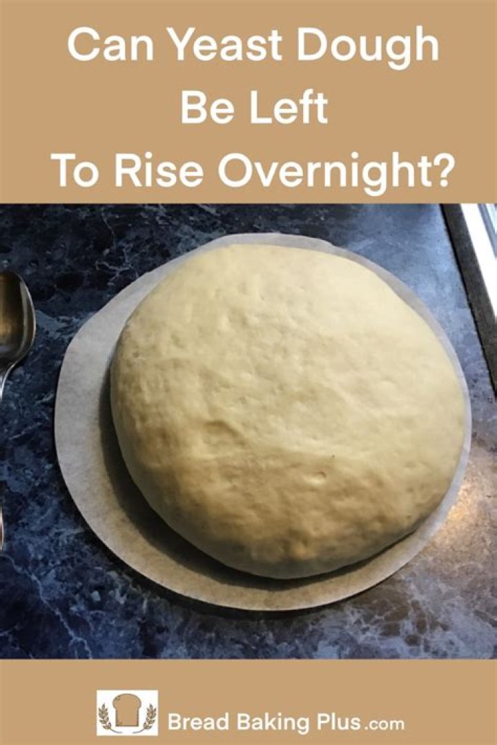 Is it OK to let dough rise overnight?