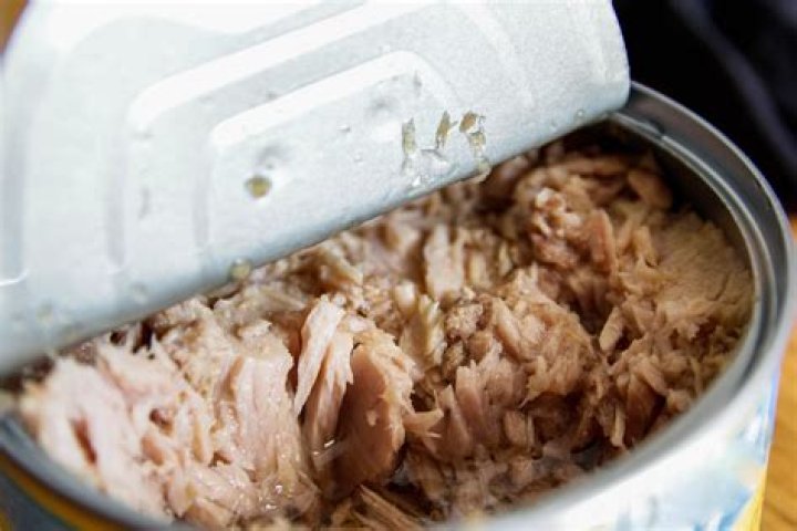 Is it okay to eat canned tuna every day?