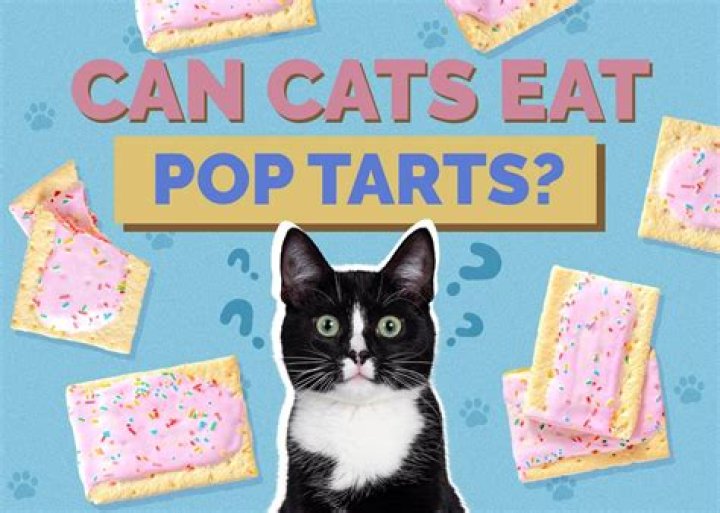 Is it okay to eat Pop Tarts raw?