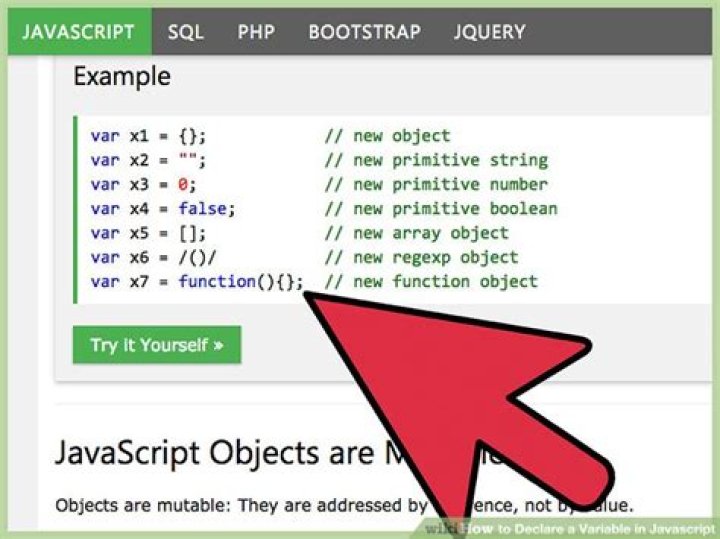 Is it possible to declare a variable in JavaScript along its type?