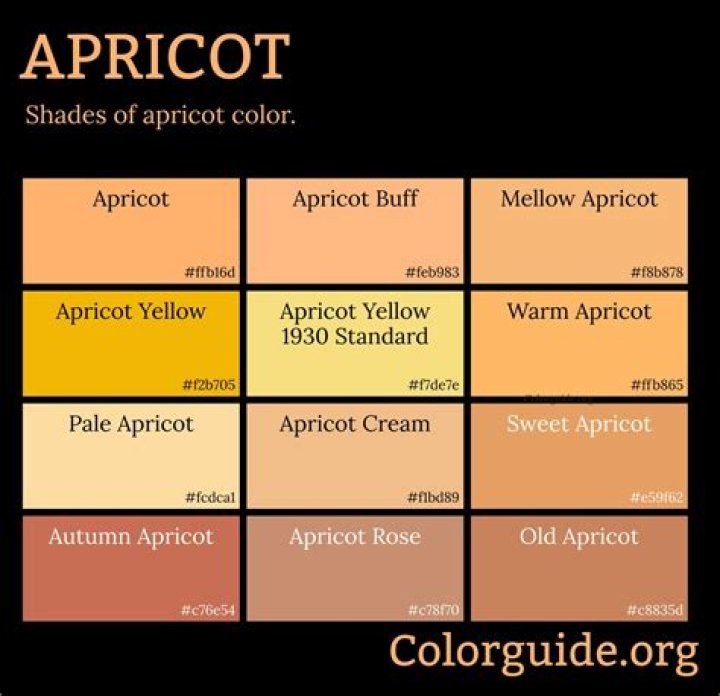 Is it pronounced apricot or apricot?