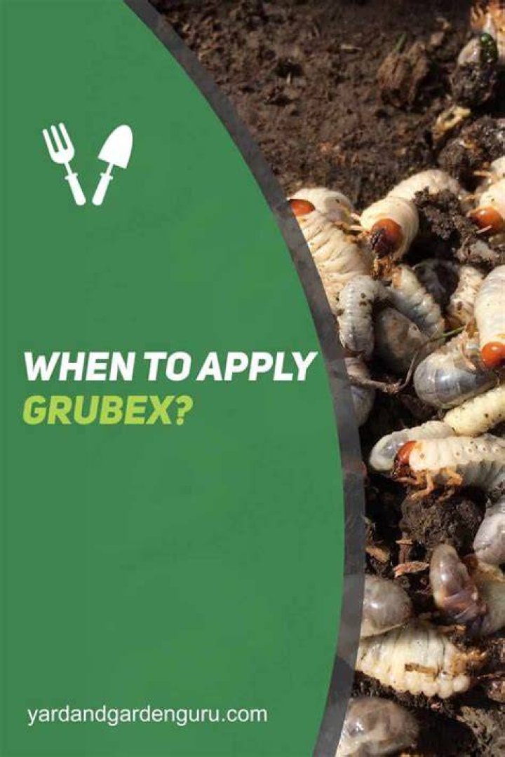 Is it too late for GrubEx?