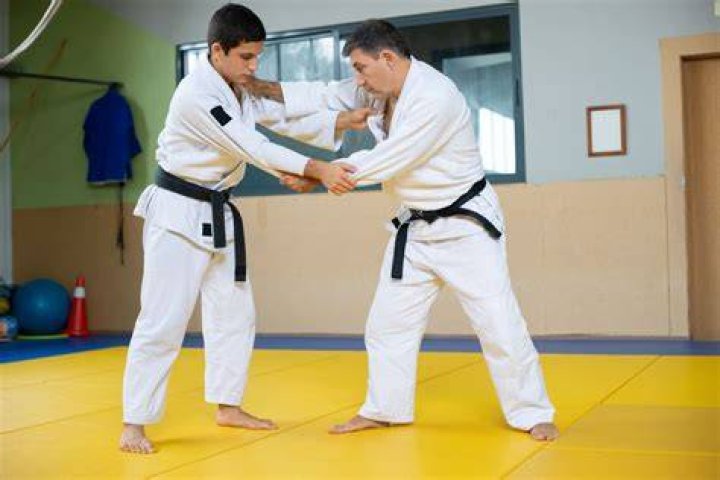 Is judo better than boxing?