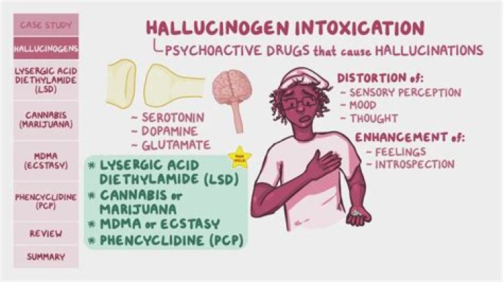 Is kava a hallucinogen?