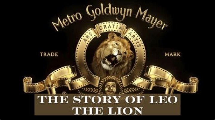 Is Leo the MGM lion still alive?